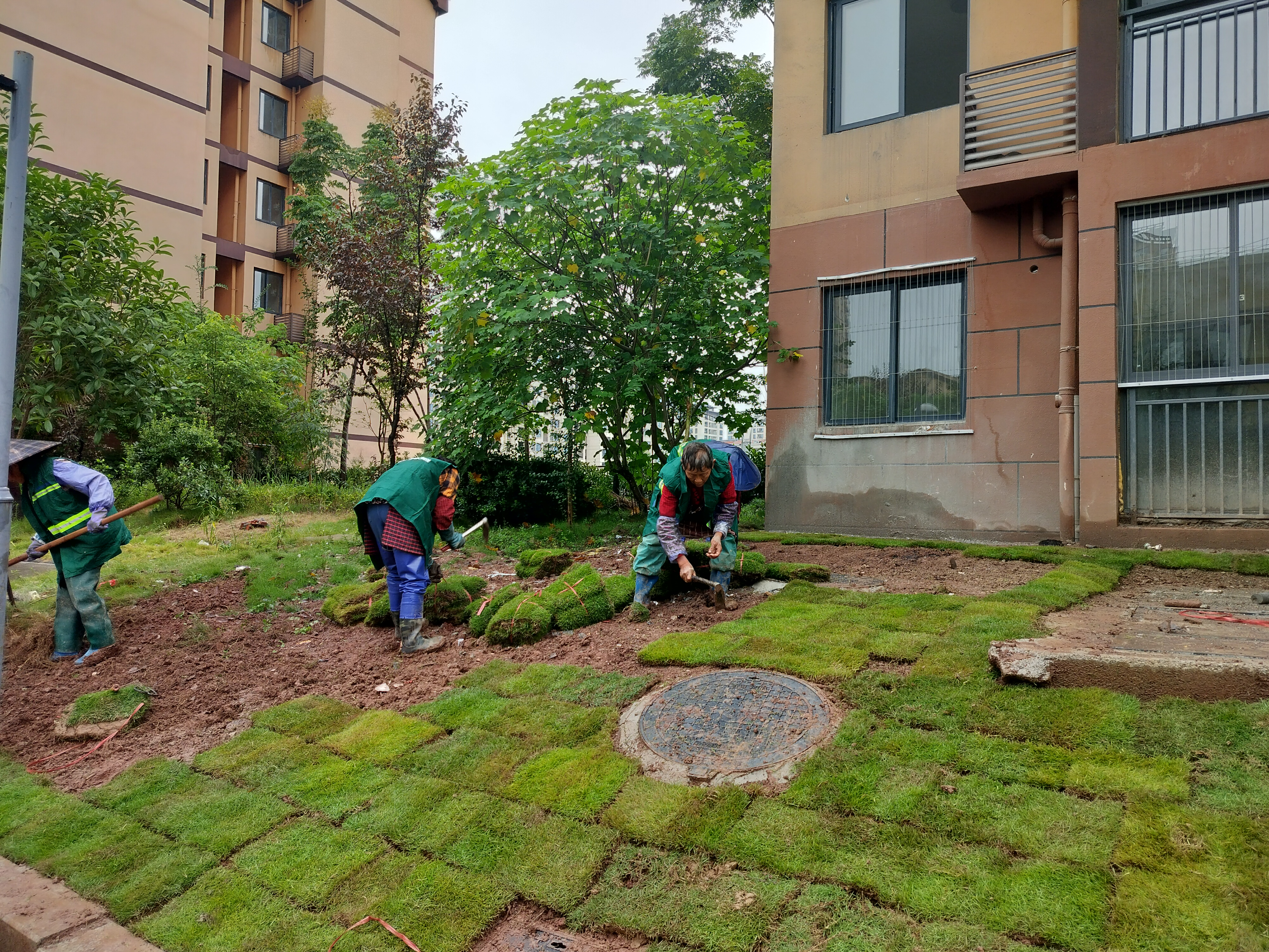 墊江縣西湖小區人才公寓(A區、B區)裝飾工程綠化項目